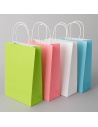 Bolsa Asa Lazo Estándar